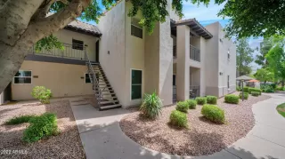 Photo #1: 6446000 Listing