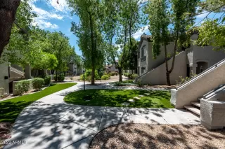 Photo #4: 6447126 Listing 