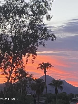 Photo #1: 6452688 Listing