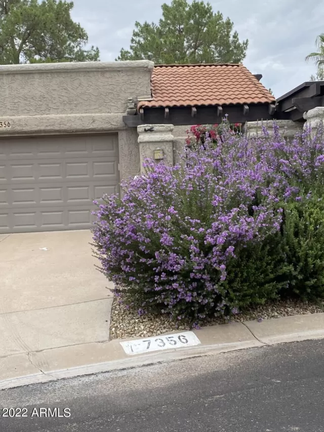 MLS: 6454499 Condo For Sale