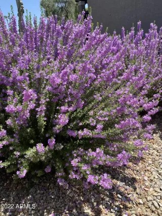 Photo #1: 6454499 Listing