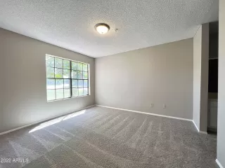 Photo #5: 6457486 Listing