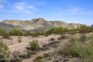 Photo #3: 6465487 Listing 