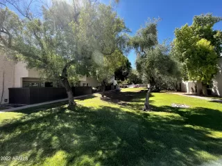 Photo #1: 6466445 Listing 