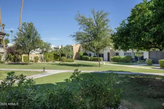 Photo #1: 6479894 Listing