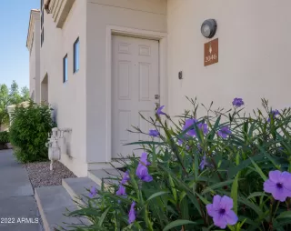 Photo #1: 6480033 Listing 