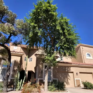 Photo #5: 6483472 Listing