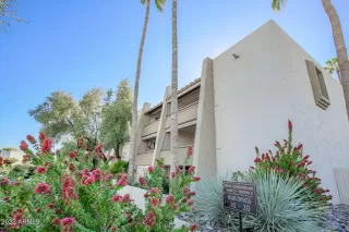 Photo #2: 6490469 Listing