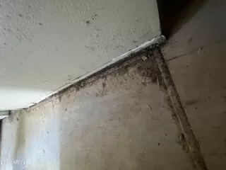 Photo #3: 6496241 Listing 