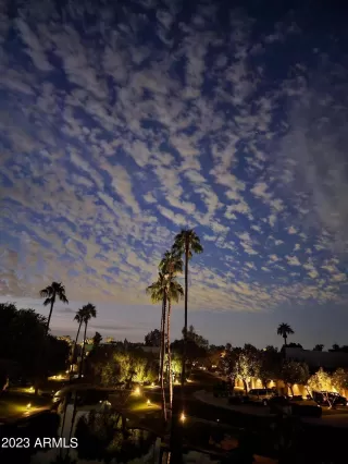 Photo #3: 6501408 Listing 