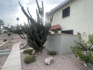Photo #2: 6507517 Listing