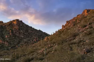 Photo #5: 6509571 Listing