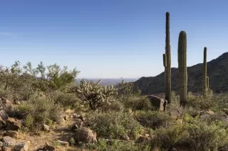 Photo #6: 6509571 Listing