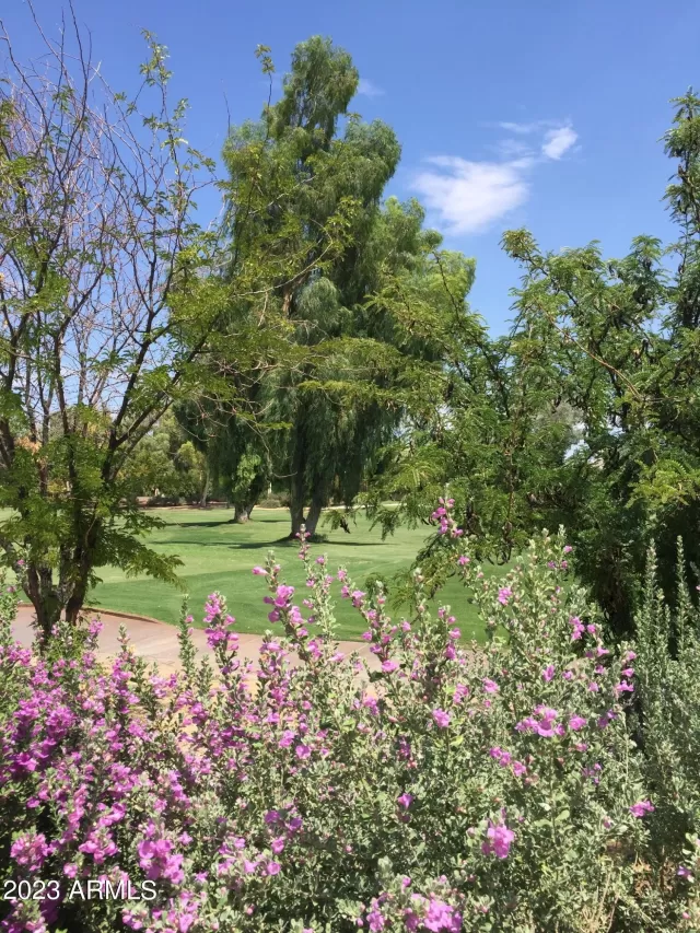 MLS: 6513619 Condo For Sale