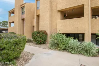 Photo #1: 6520626 Listing