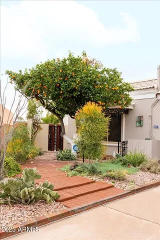 Photo #1: 6527999 Listing