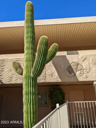 Photo #5: 6529549 Listing