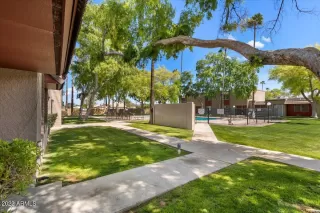 Photo #2: 6536929 Listing