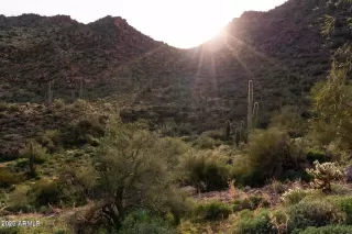 Photo #2: 6539074 Listing