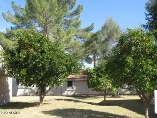 Photo #1: 6551551 Listing 