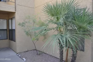 Photo #2: 6553047 Listing