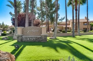 Photo #1: 6553175 Listing