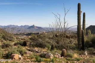 Photo #6: 6556609 Listing 