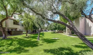 Photo #1: 6560446 Listing 