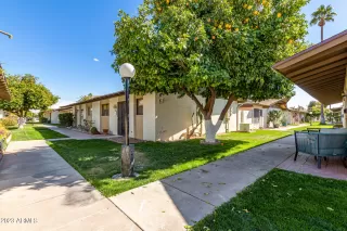 Photo #1: 6561482 Listing 