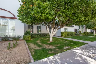 Photo #2: 6564440 Listing 