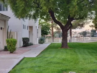 Photo #3: 6567546 Listing 