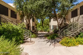 Photo #1: 6572720 Listing