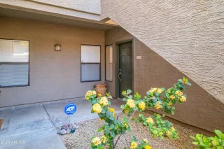 Photo #1: 6577368 Listing