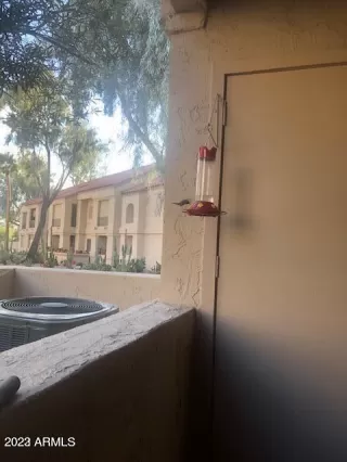 Photo #1: 6577910 Listing 