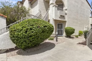 Photo #1: 6581370 Listing 