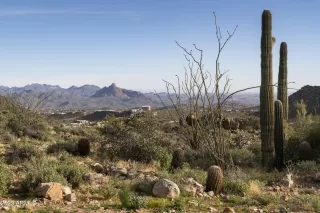 Photo #3: 6587229 Listing