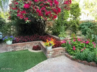 Photo #1: 6597032 Listing 