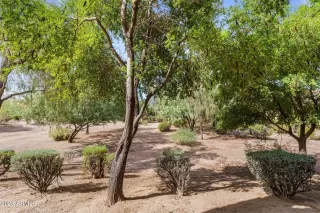 Photo #3: 6600033 Listing