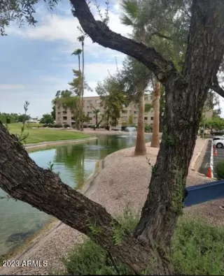 Photo #4: 6604514 Listing