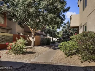 Photo #3: 6605408 Listing 