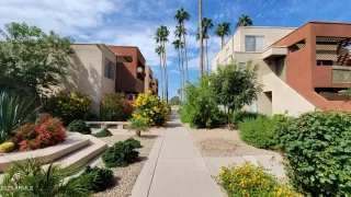 Photo #1: 6619765 Listing 