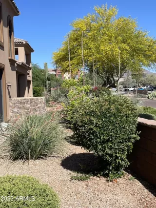Photo #5: 6625649 Listing 