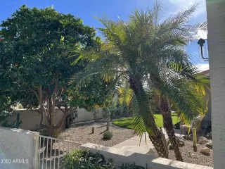 Photo #2: 6626458 Listing