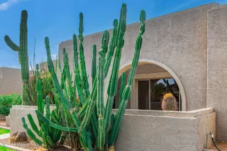 Photo #5: 6627610 Listing