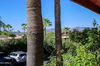 Photo #4: 6629798 Listing 
