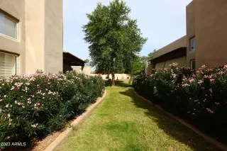Photo #3: 6631228 Listing 