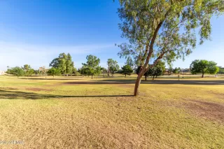 Photo #5: 6631688 Listing 