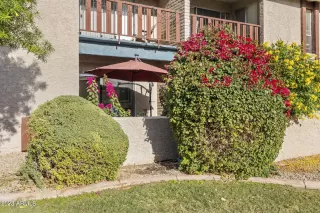 Photo #1: 6634954 Listing