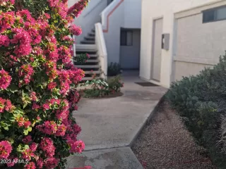 Photo #1: 6636651 Listing 