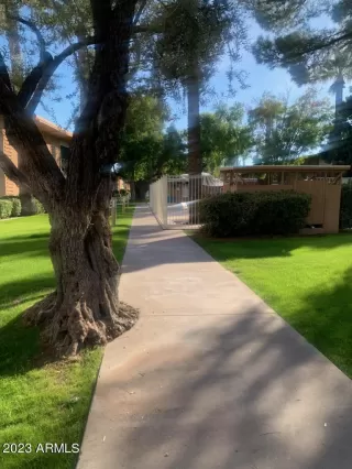 Photo #3: 6641441 Listing